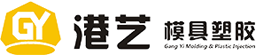 麥克風(fēng)注塑模具